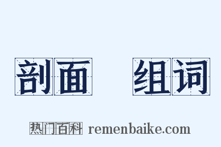 剖面圖组词是什么意思的图片